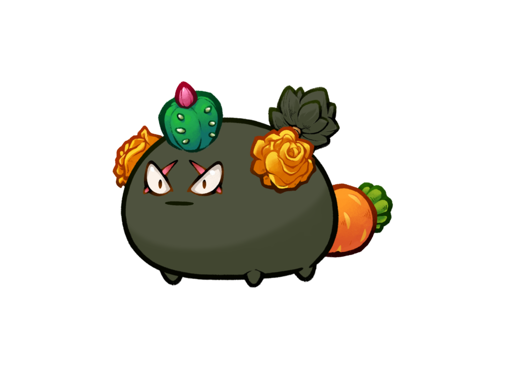 Axie Image