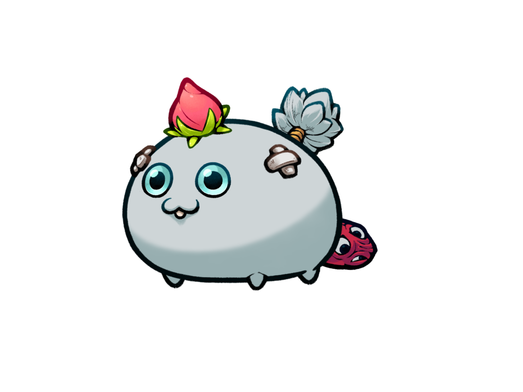 Axie 11501569