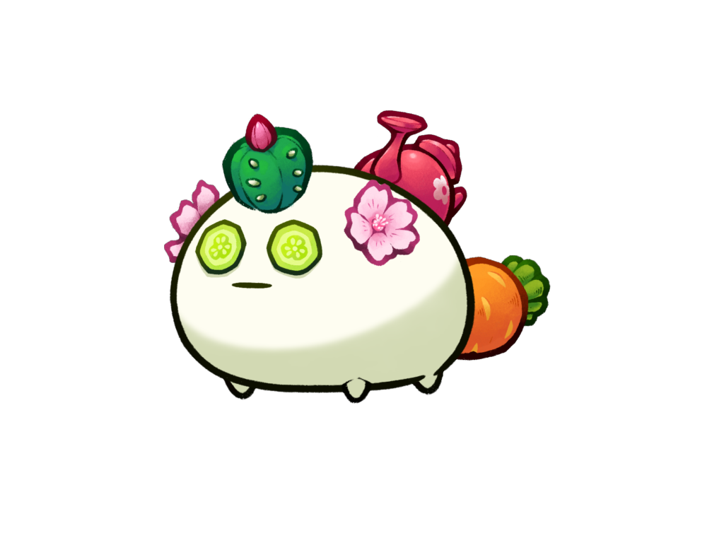 Axie Image