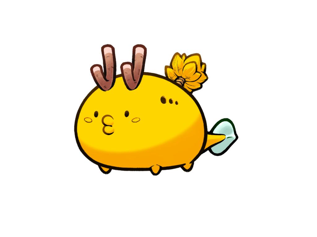 Axie Image