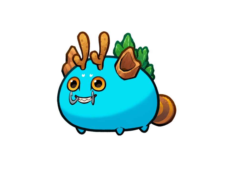 Axie 11531527