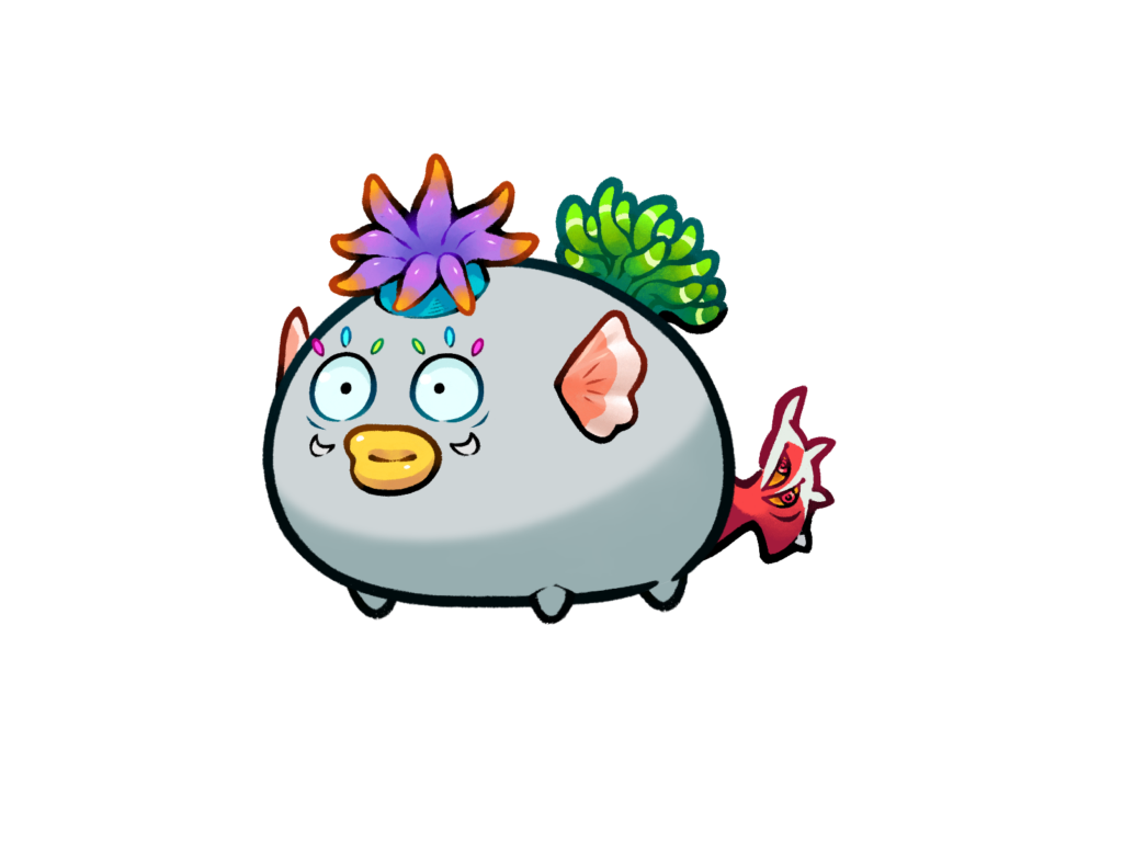 Axie 11606841