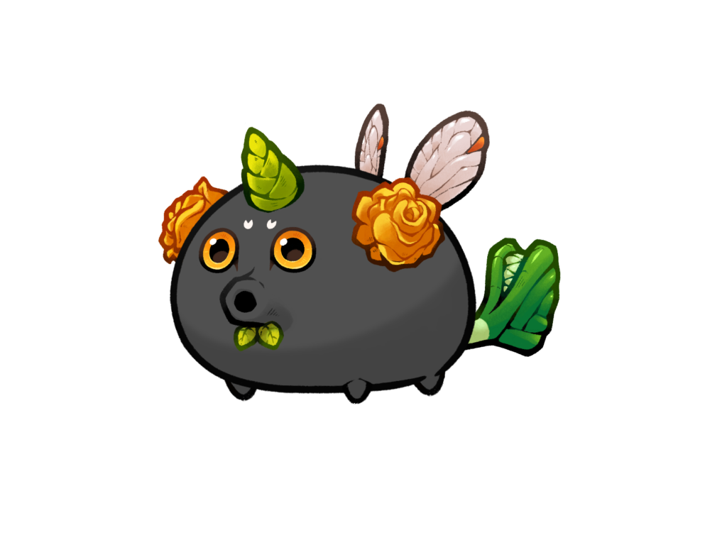 Axie Image