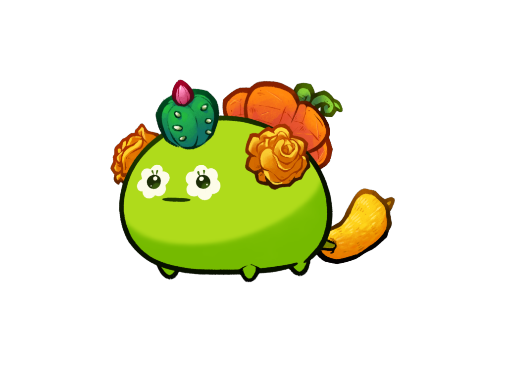 Axie 11616163