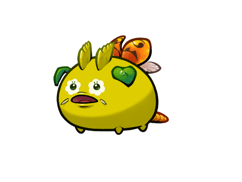 Axie Image