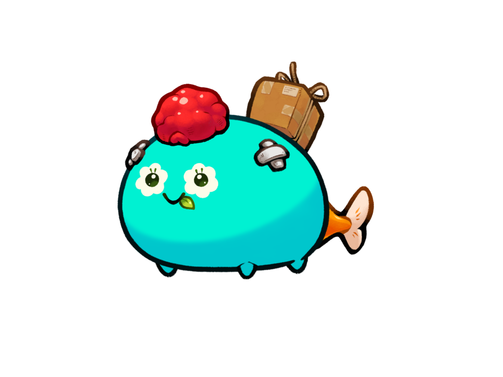 Axie 11656547