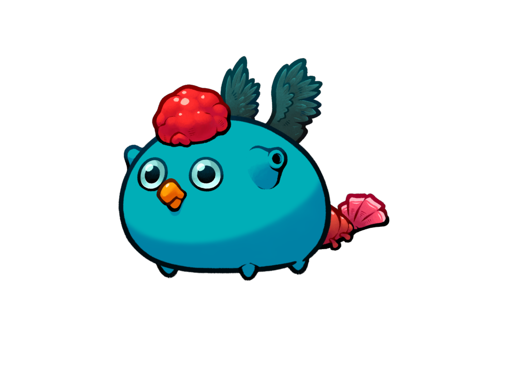 Axie 11657819