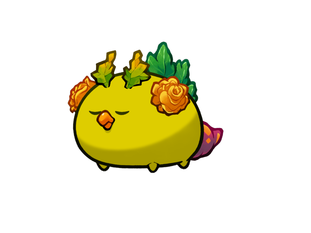 Axie Image