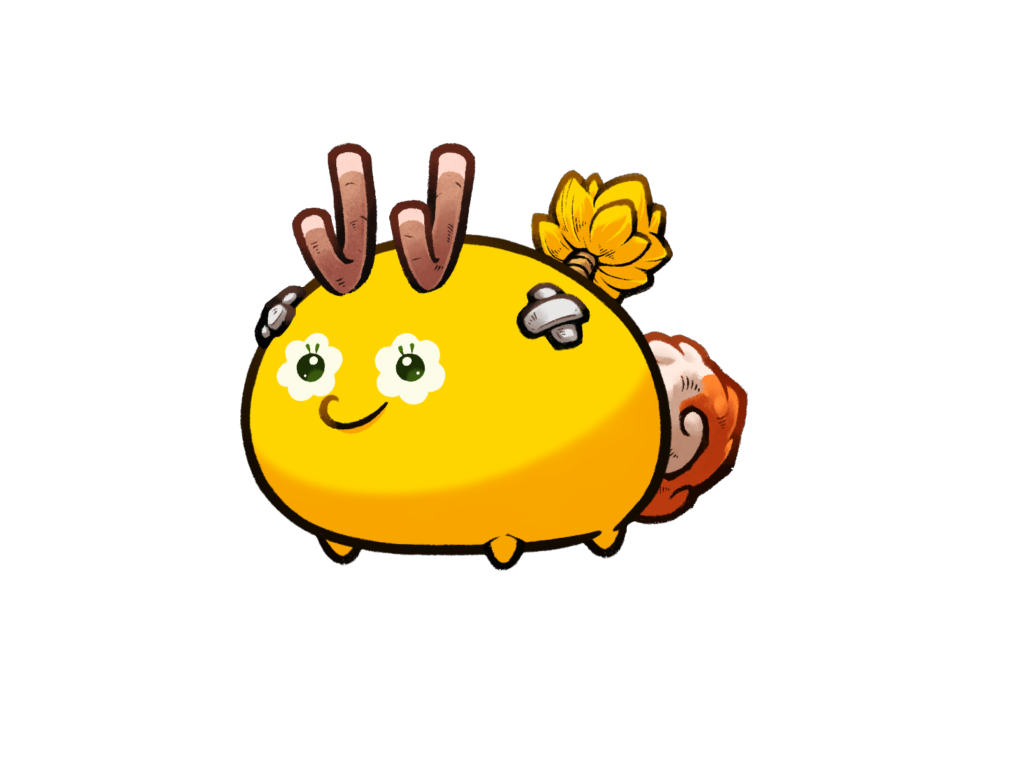 Axie Image
