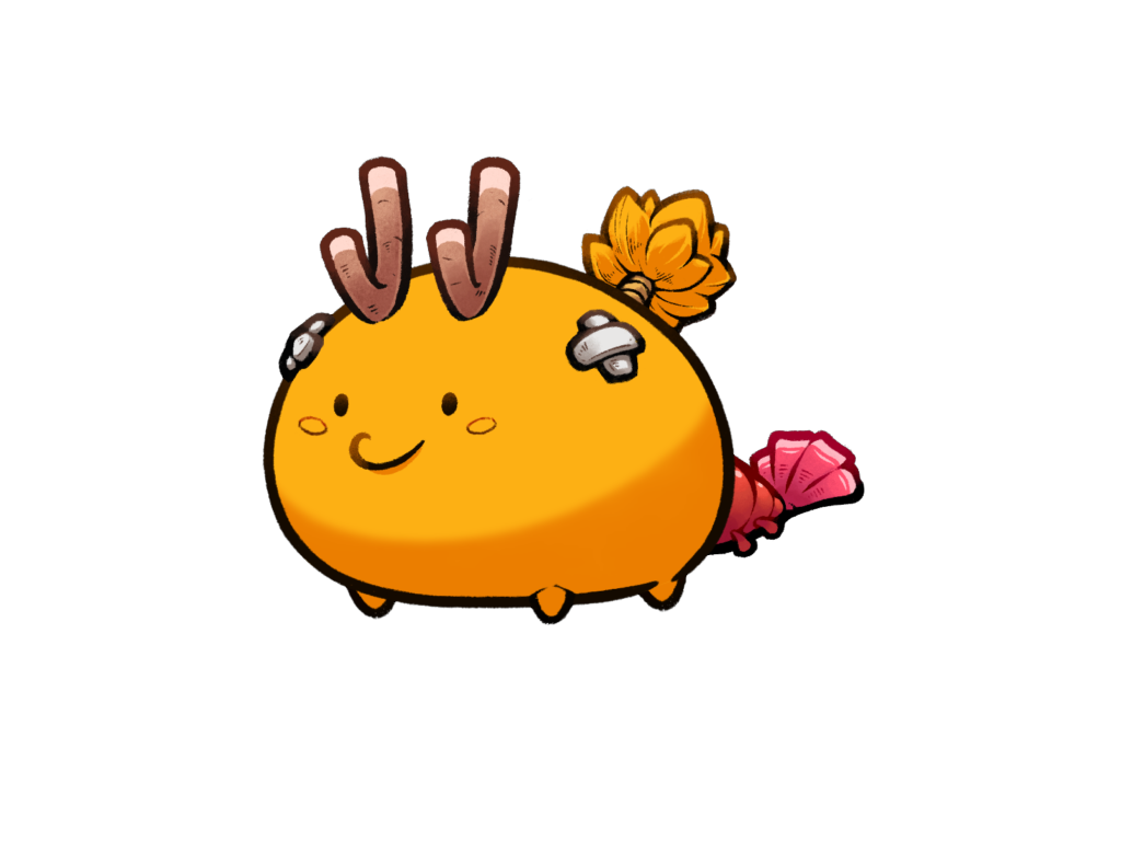 Axie Image
