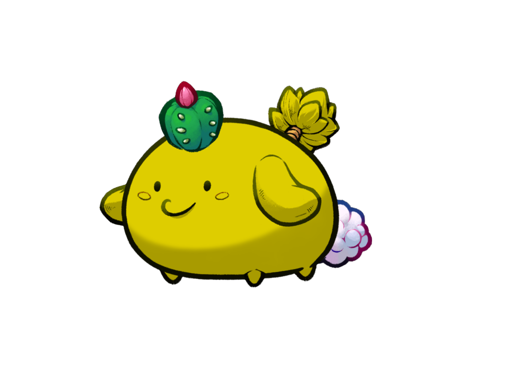 Axie Image