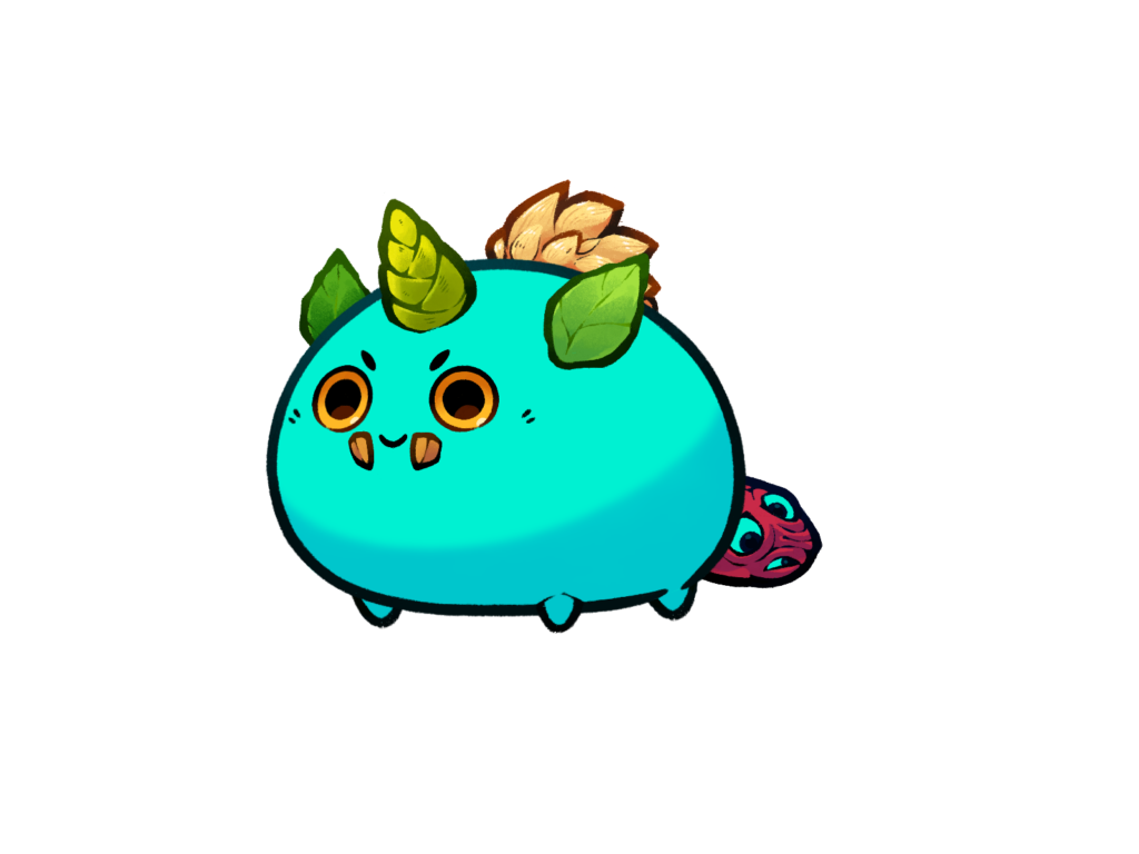 Axie 11801308