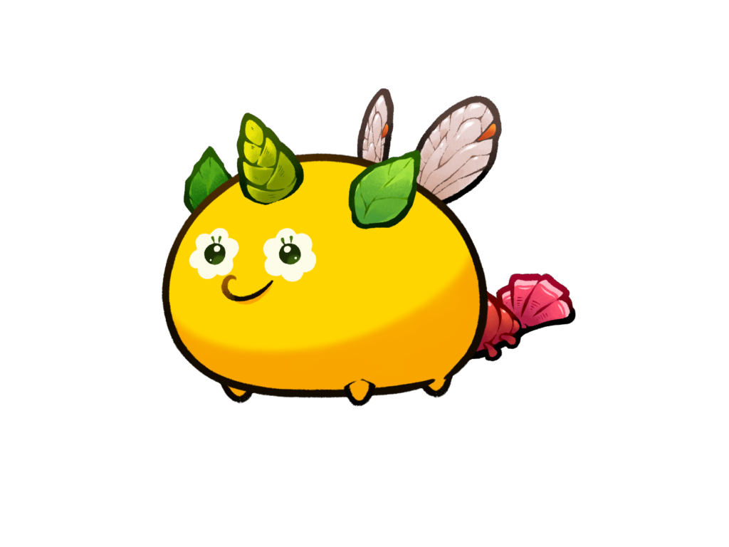 Axie Image
