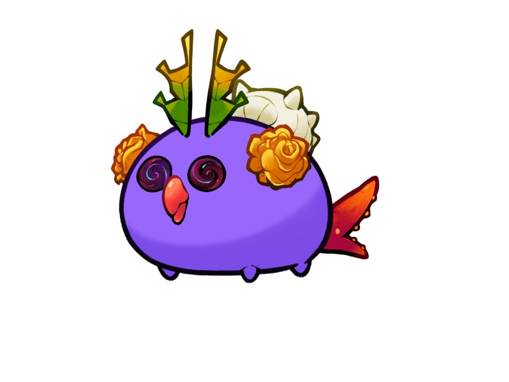Axie 11855528