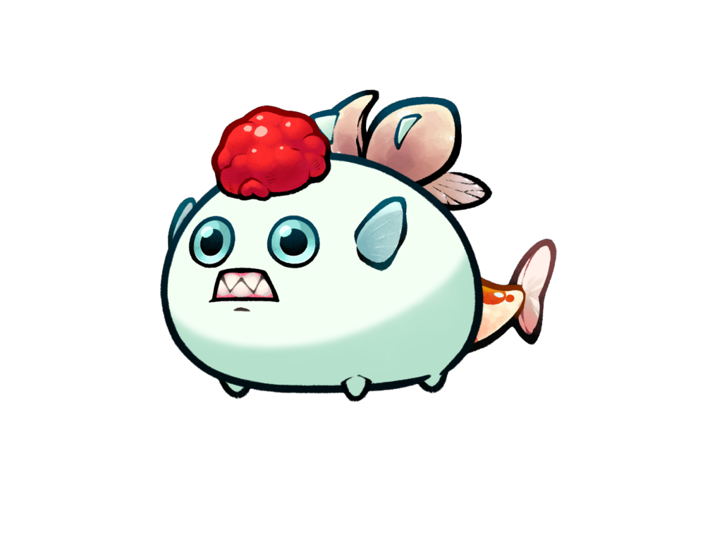 Axie 11863329