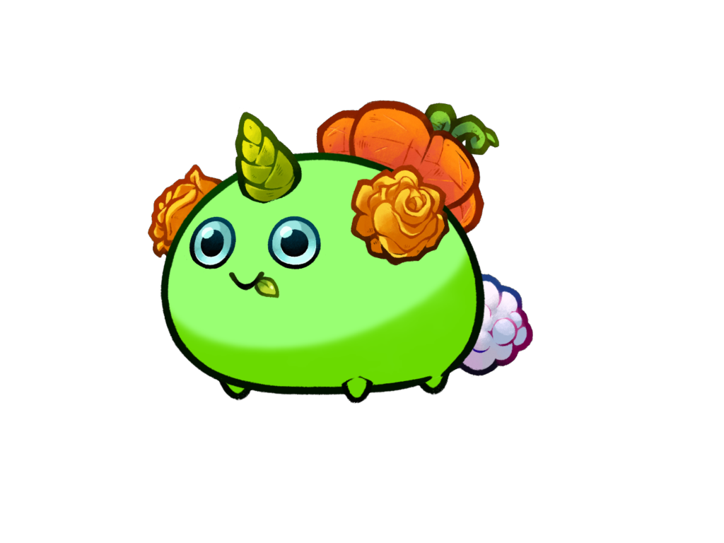 Axie 11869308