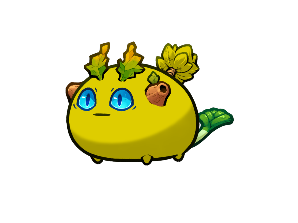 Axie Image