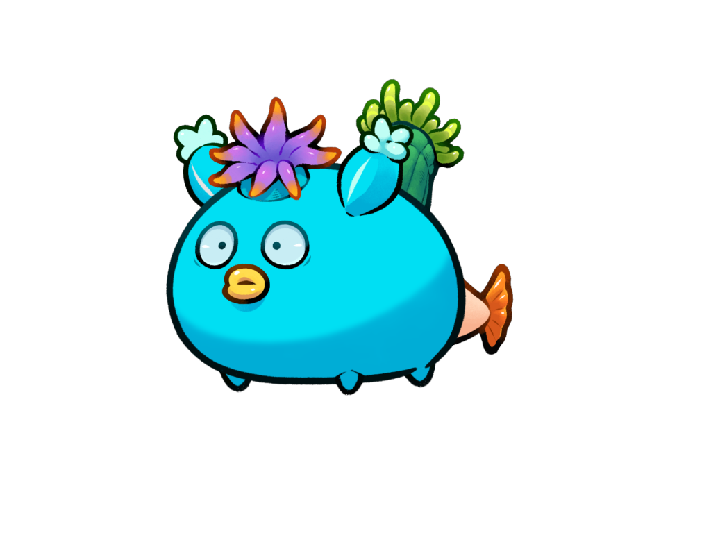 Axie 11900336