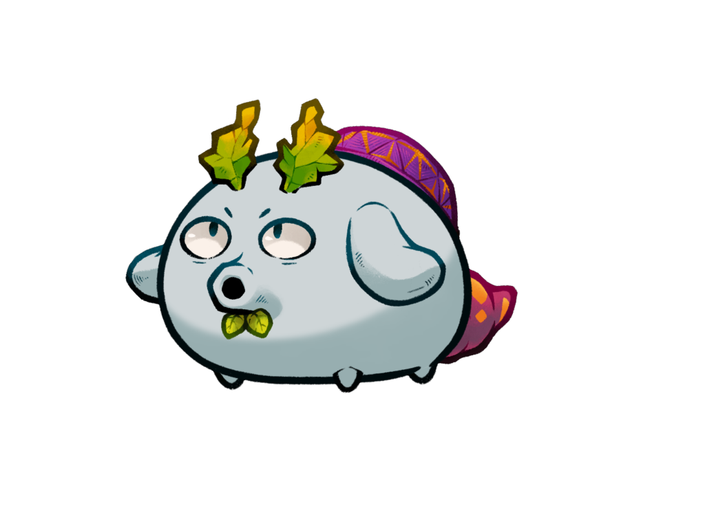 Axie 11905244