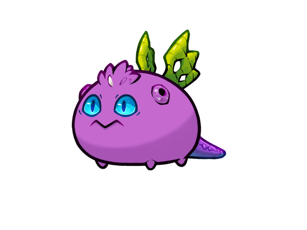 Axie 11908794