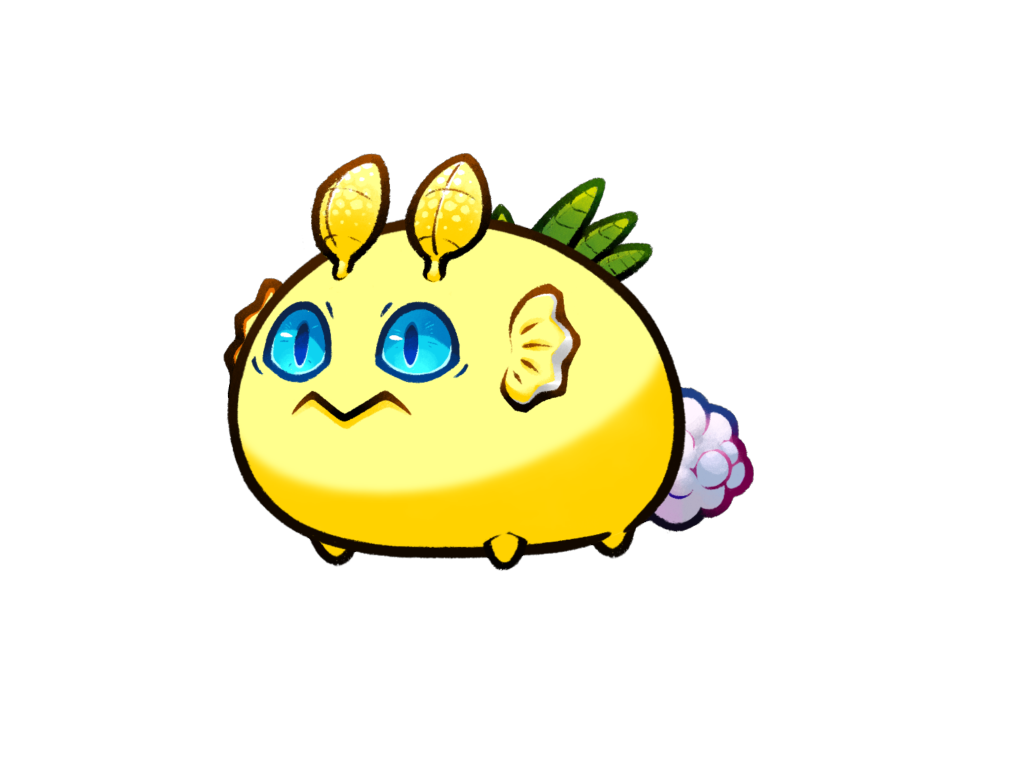 Axie Image