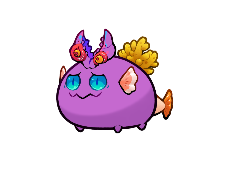 👑Maia 毒 👑Maia 毒