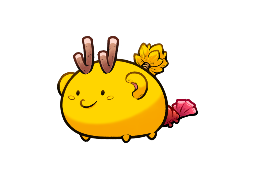 Axie Image