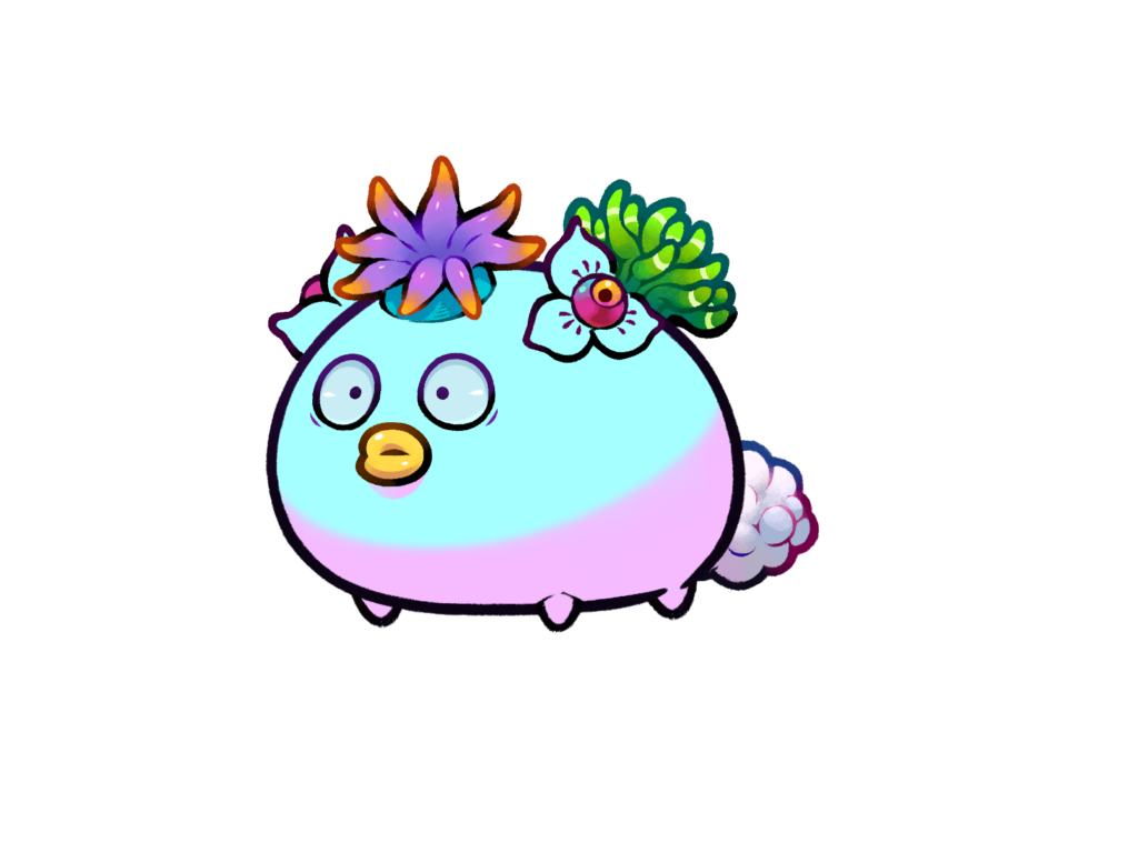 Axie 11933167
