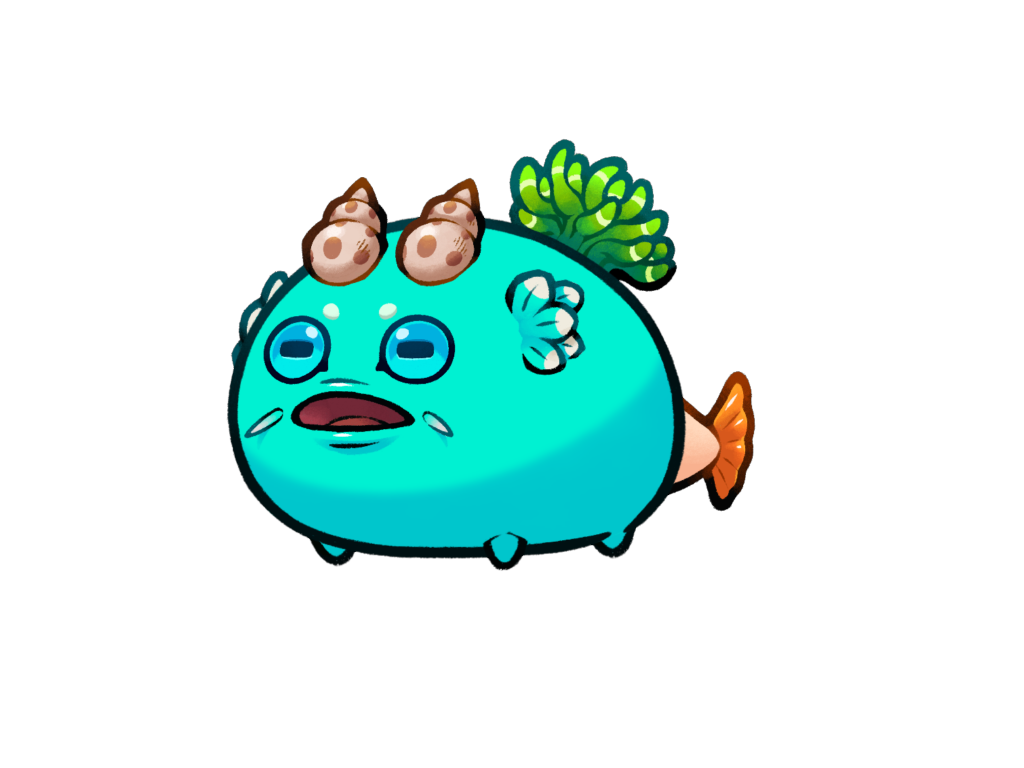 Axie 11937800