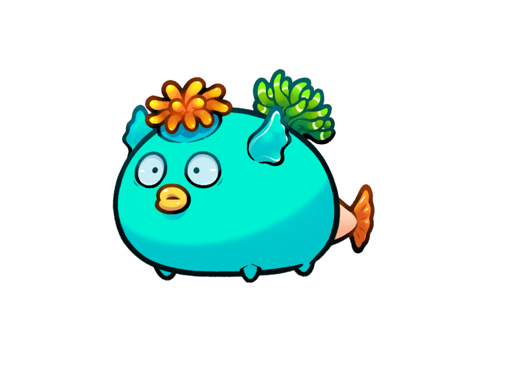 Axie 11955010