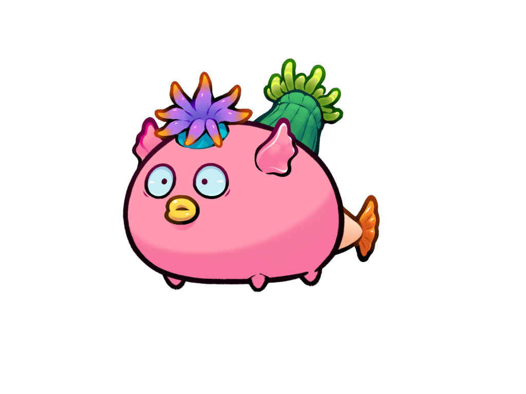 Axie 11971349