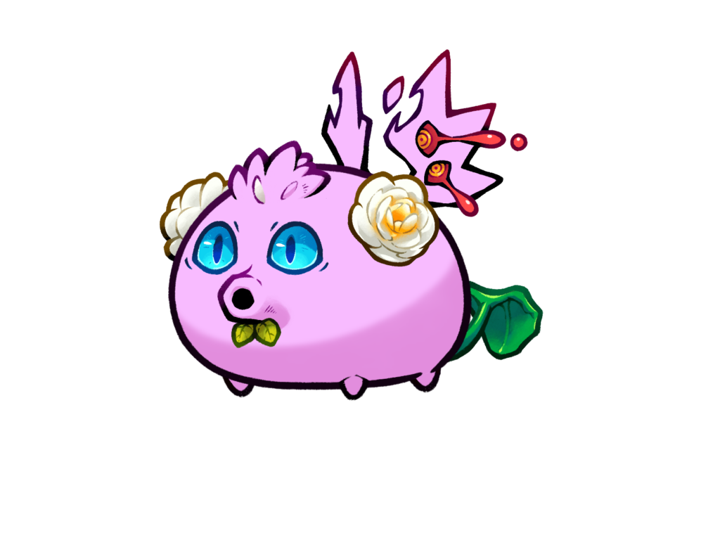 Axie 11972081