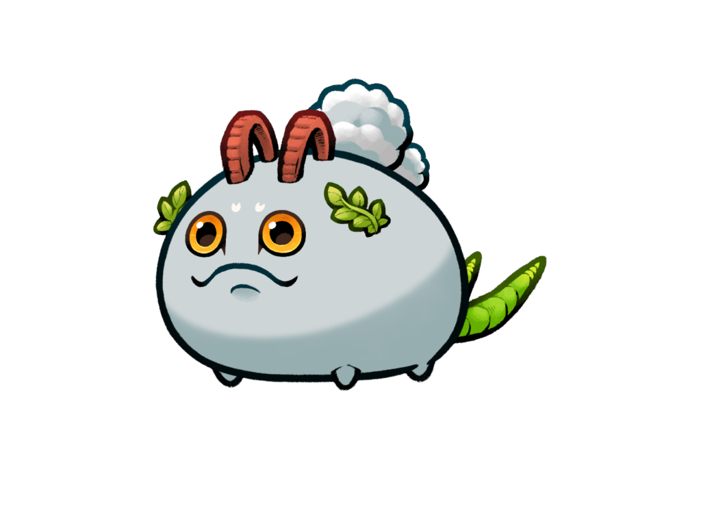 Axie 11973401