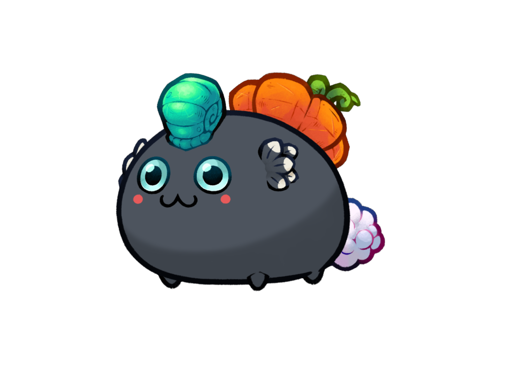 Axie 11977840