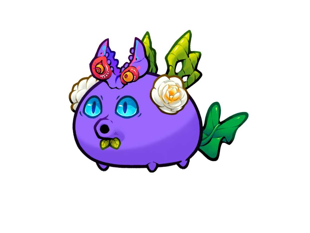 Axie 11980397