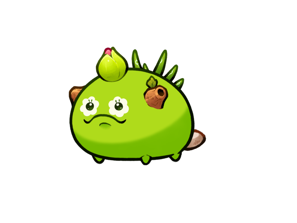 Axie 11981500