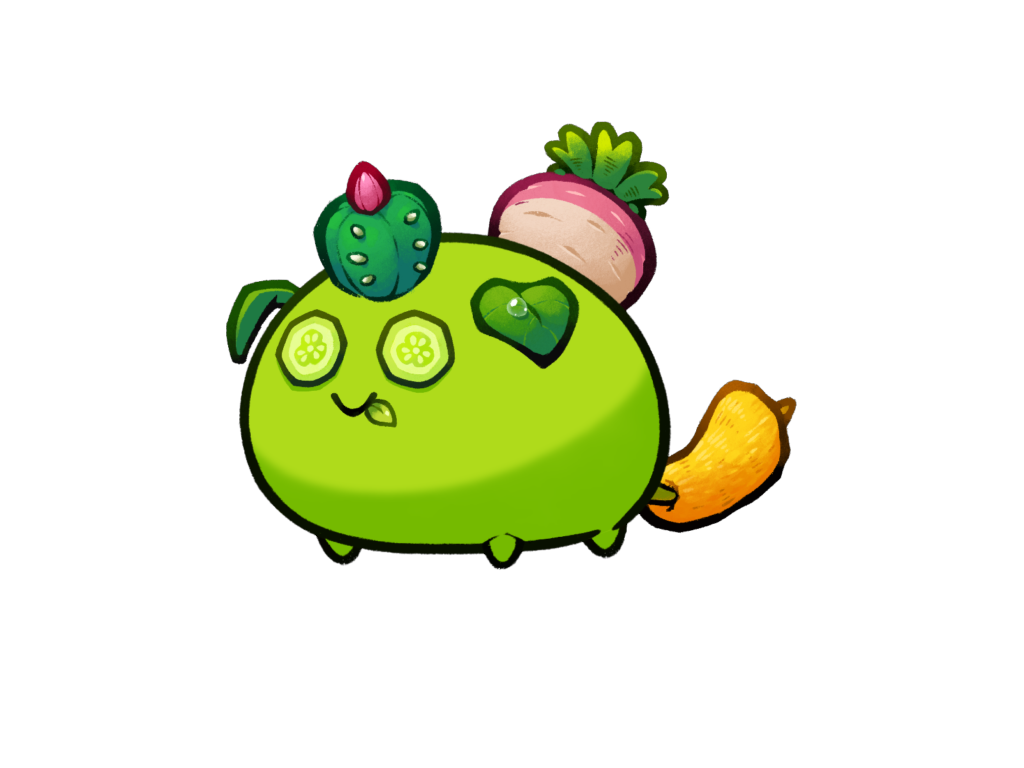 Axie 11997498