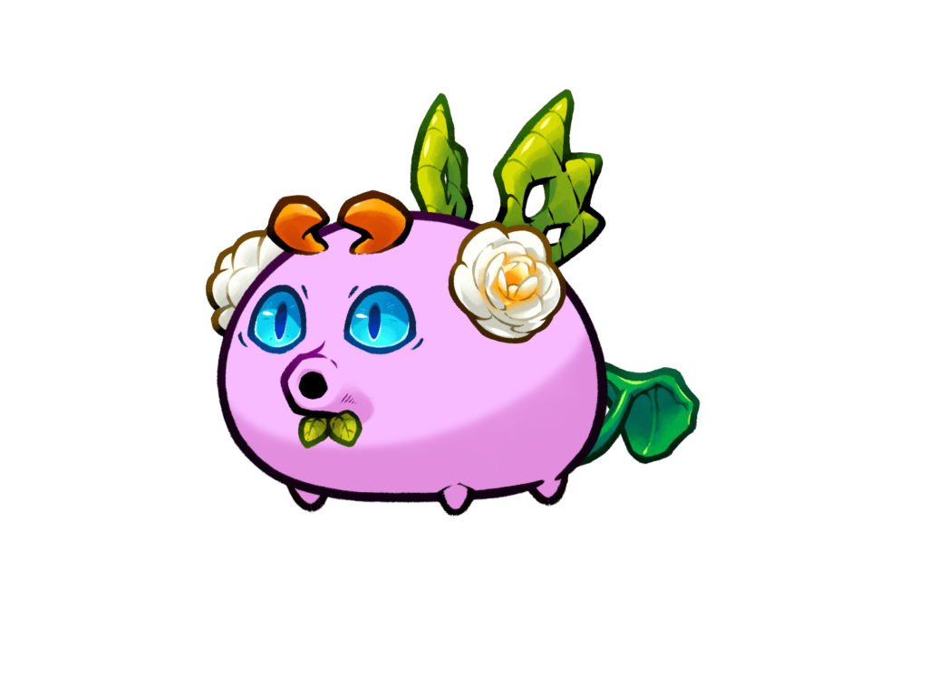 Axie Image
