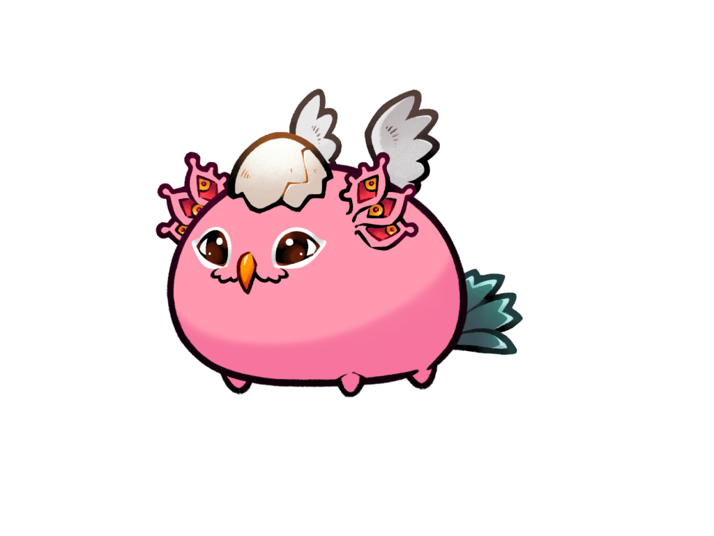 Axie 12013134
