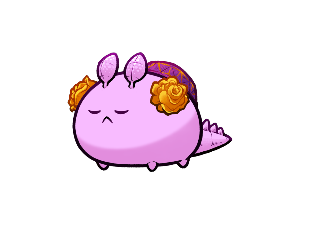 Axie 12026065