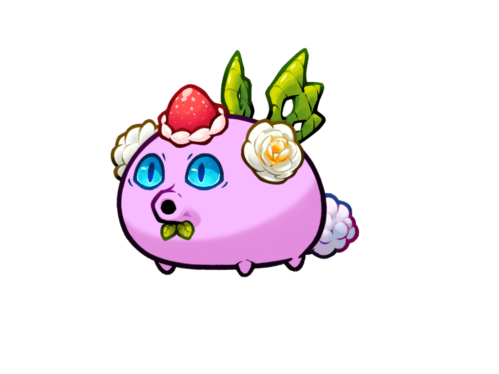 Axie Image