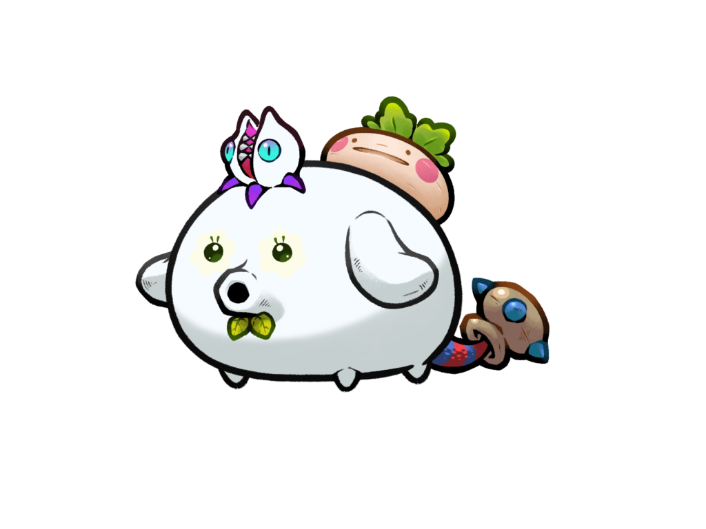 Axie 12041498