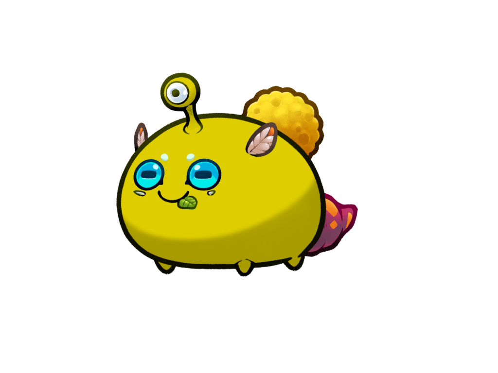 Axie 12045534