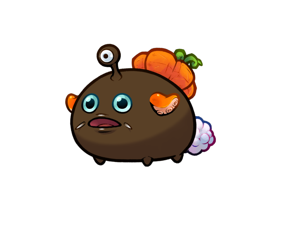 Axie 12048204