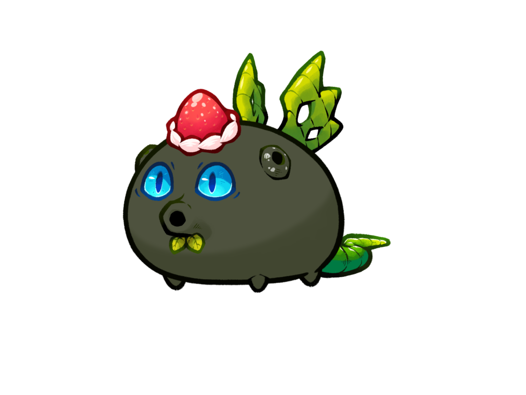Axie 12054900