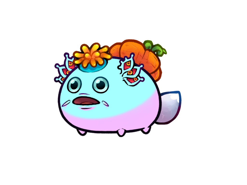 Axie 12055868