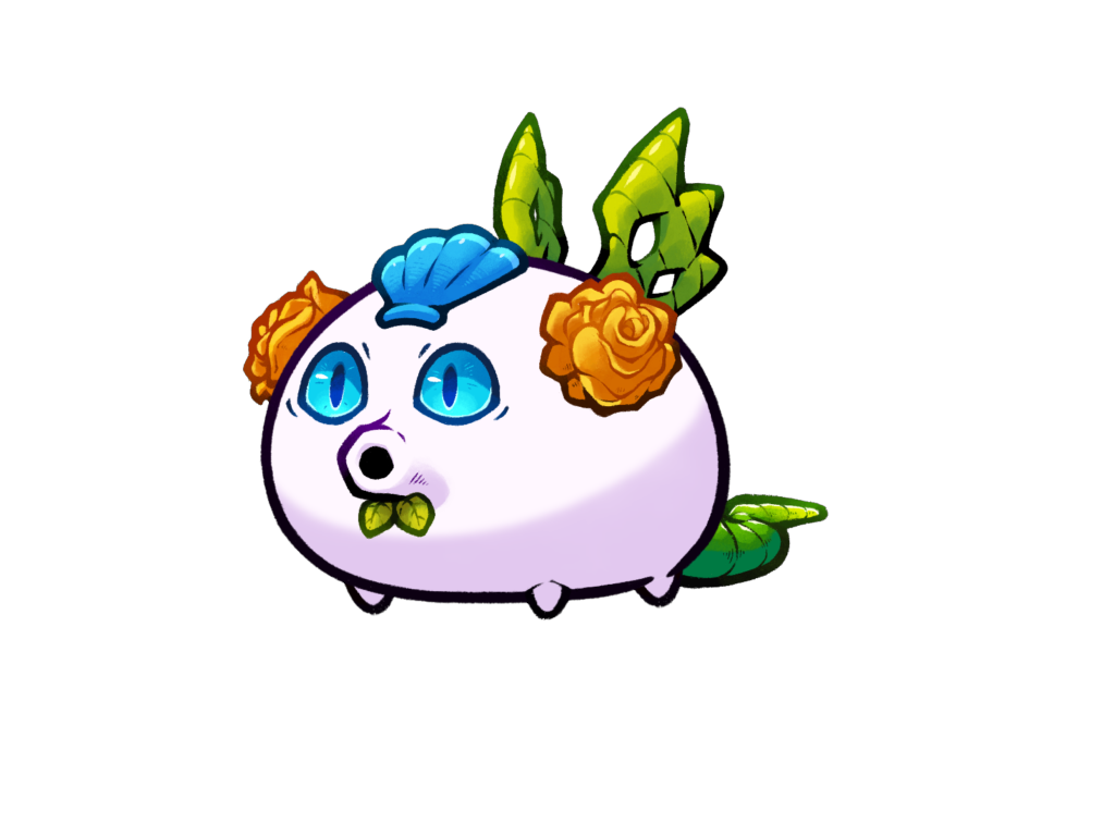 Axie Image
