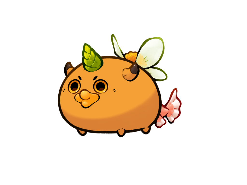 Axie 1206
