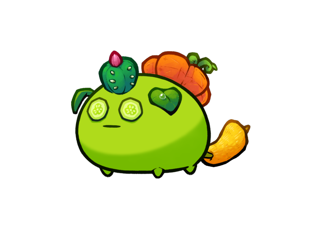 Axie 12062523
