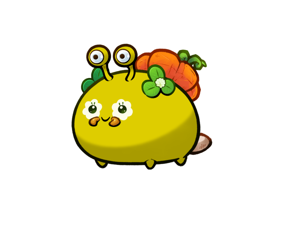Axie 12063806